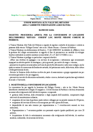 BANDO DI GARA.rev01pdf