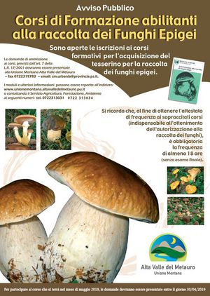 locandina funghi 2019