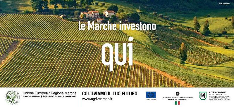 LE MARCHE INVESTONO QUI LE MARCHE INVESTONO QUI